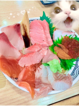 渋谷 FLAMINGO - まろんの女の子ブログ画像