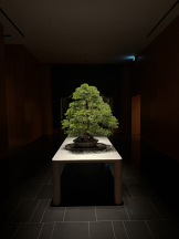 はっち 神田店 - るなの女の子ブログ画像