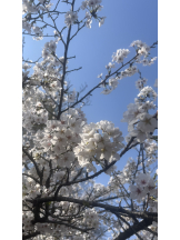 JULIE＆ANNA Tokyo - はるかの女の子ブログ画像