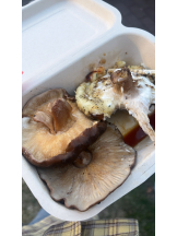 JULIE＆ANNA Tokyo - はるかの女の子ブログ画像