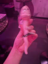 CLUB KAKUREGA - みうの女の子ブログ画像