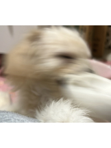 CLUB KAKUREGA - みうの女の子ブログ画像