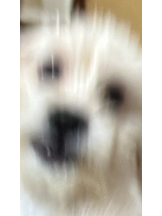 CLUB KAKUREGA - みうの女の子ブログ画像