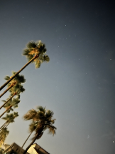 CLUB KAKUREGA - みうの女の子ブログ画像