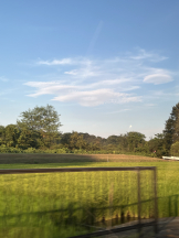 CLUB KAKUREGA - みうの女の子ブログ画像