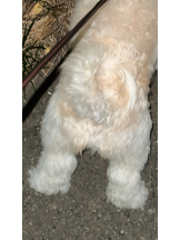 CLUB KAKUREGA - みうの女の子ブログ画像