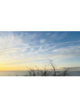 CHELSEA - いずみの女の子ブログ画像