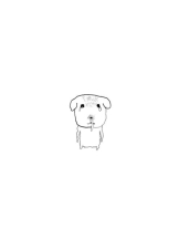 キュンキュン - あいりの女の子ブログ画像