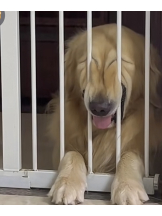 CHELSEA - さらの女の子ブログ画像