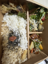 CHELSEA - さらの女の子ブログ画像