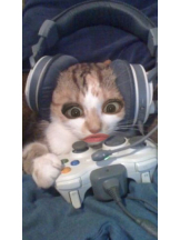 CHELSEA - さらの女の子ブログ画像