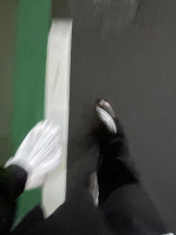 CHELSEA - さらの女の子ブログ画像