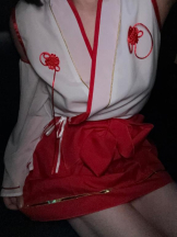 カルテ デイシフト - ひかりの女の子ブログ画像