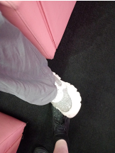 みつばちマーヤZ - にじかの女の子ブログ画像