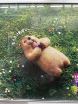 CHELSEA - りおの女の子ブログ画像