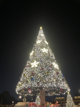 CHELSEA - りおの女の子ブログ画像