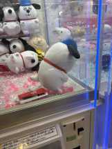 CHELSEA - りおの女の子ブログ画像