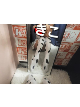 新宿 カルテデイズ - きこの女の子ブログ画像