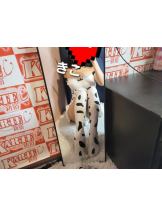 新宿 カルテデイズ - きこの女の子ブログ画像