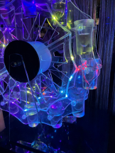 Alegria - りおの女の子ブログ画像