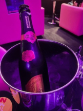 みつばちマーヤZ - みくの女の子ブログ画像