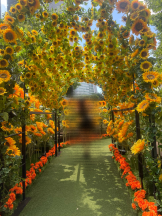 PASHA - るなの女の子ブログ画像