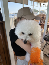 アチュゲッチュ - かなの女の子ブログ画像