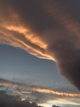 はっち 神田店 - ももの女の子ブログ画像