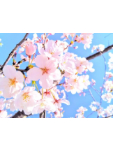 CHERRY WEST - ふゆの女の子ブログ画像