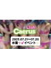 Caerus - ののかの女の子ブログ画像