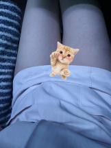 カルテ デイシフト - らんの女の子ブログ画像