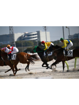 Felice(フェリス) - まなの女の子ブログ画像