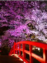 Felice(フェリス) - まなの女の子ブログ画像