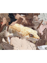 CHELSEA - あおの女の子ブログ画像