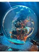 ZOOM - アズサの女の子ブログ画像