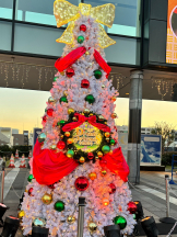 ZOOM - アズサの女の子ブログ画像