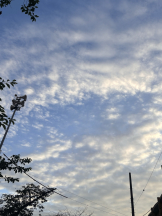 ZOOM - アズサの女の子ブログ画像