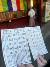 Club PiPi - まなの女の子ブログ画像