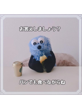 CHERRY DAYS 新宿店 - ぱるの女の子ブログ画像
