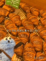 CHERRY DAYS 新宿店 - ぱるの女の子ブログ画像