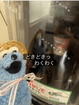 CHERRY DAYS 新宿店 - ぱるの女の子ブログ画像