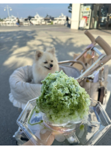 レモンカフェ - しおりの女の子ブログ画像