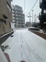 CHELSEA - ゆいの女の子ブログ画像