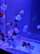 Club PiPi - まきの女の子ブログ画像