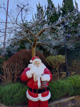 Club PiPi - まきの女の子ブログ画像