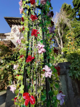 Club PiPi - まきの女の子ブログ画像