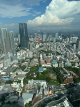 rejas(レジャス) - みゆの女の子ブログ画像