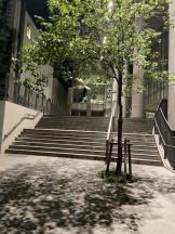 rejas(レジャス) - さくらの女の子ブログ画像