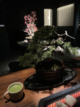 rejas(レジャス) - さくらの女の子ブログ画像