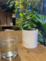 rejas(レジャス) - さくらの女の子ブログ画像